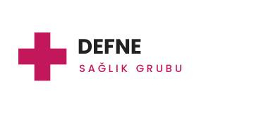 Defne Sağlık Grubu logosu - Temelkaya İnşaat referansı